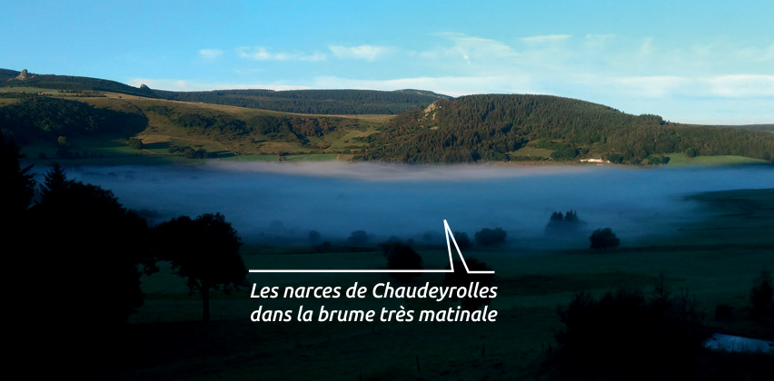 Les narces de Chaudeyrolles- Haute-Loire - Département de la Haute-Loire - Les Estables - Destination Haute-Loire