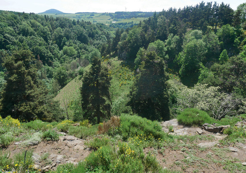 Elevage d'ânes - rencontre insolite - écotourisme - tourisme vert - Saint Front - Haute-Loire - Département de la Haute-Loire - Haute-Loire tourisme - Auvergne-Rhône-Alpes - randonnée Haute-Loire