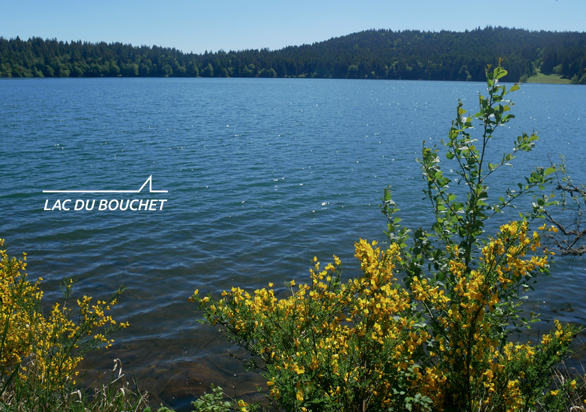 Baignade - Cascade - Plage - Lac du Bouchet - Haute-Loire -  tourisme vert - Département de la Haute-Loire - Haute-Loire tourisme - Auvergne-Rhône-Alpes - Myhauteloire