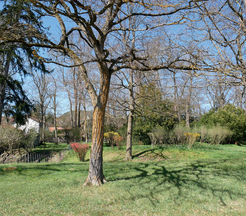 Châteaux Haute-Loire - Monuments de France - Maison forte de Volhac - 43700 Coubon  - Tourisme vert - haute-loire - auvergne - myhauteloire - auvergnerhonealpes - regionauvergne - auvergnelife - région Haute-Loire - 43