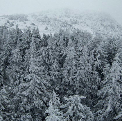 Les Estables - sommet de haute-loire - Mézenc - divertissement Haute-Loire - expérience insolite - Tourisme vert - haute-loire - auvergne - myhauteloire - auvergnerhonealpes - regionauvergne - auvergnelife - région Haute-Loire - 43