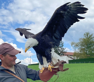 fauconnier - rapaces - saint-maurice-de-lignon 43200 - spectacles de rapaces - fauconnerie - passion - divertissement Haute-Loire - expérience insolite - Ecotourisme - tourisme passif - haute-loire - auvergne - myhauteloire - auvergnerhonealpes - regionauvergne - auvergnelife - région Haute-Loire - 43