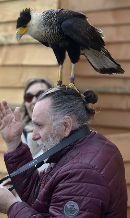 fauconnier - rapaces - saint-maurice-de-lignon 43200 - spectacles de rapaces - fauconnerie - passion - divertissement Haute-Loire - expérience insolite - Ecotourisme - tourisme passif - haute-loire - auvergne - myhauteloire - auvergnerhonealpes - regionauvergne - auvergnelife - région Haute-Loire - 43